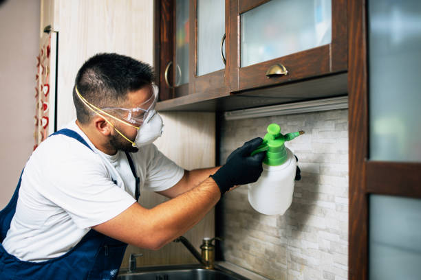 Best Pest Control Near Me  in Pleasant Hills, OH