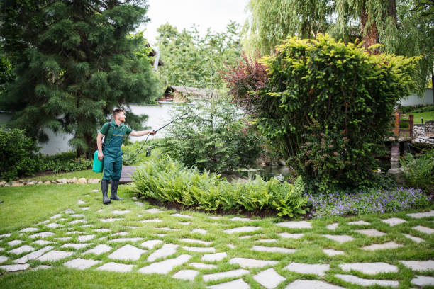 Bird Control in Pleasant Hills, OH