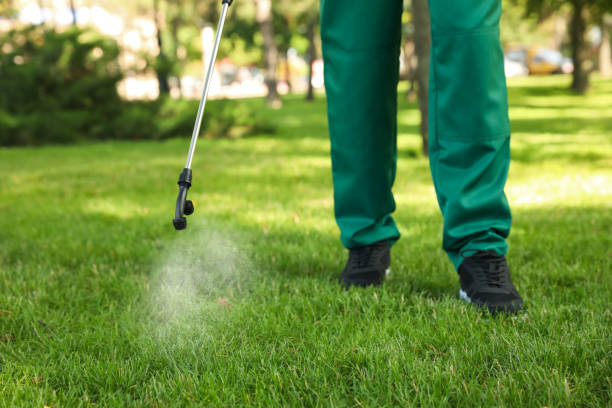 Best Pest Removal Services  in Pleasant Hills, OH