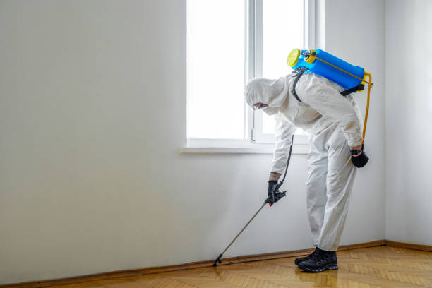 Best Pest Inspection Near Me  in Pleasant Hills, OH