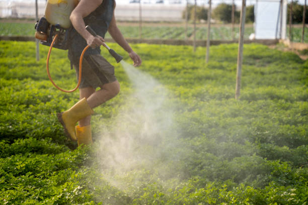 Best Pest Control Cost  in Pleasant Hills, OH