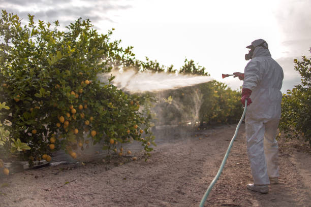 Trusted Pleasant Hills, OH Pest Control Experts