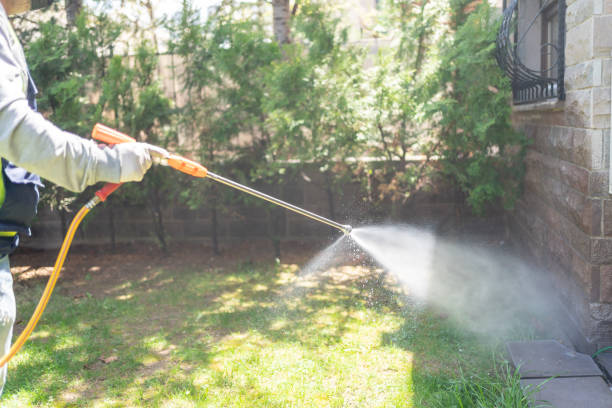 Best Wasp Removal Services  in Pleasant Hills, OH