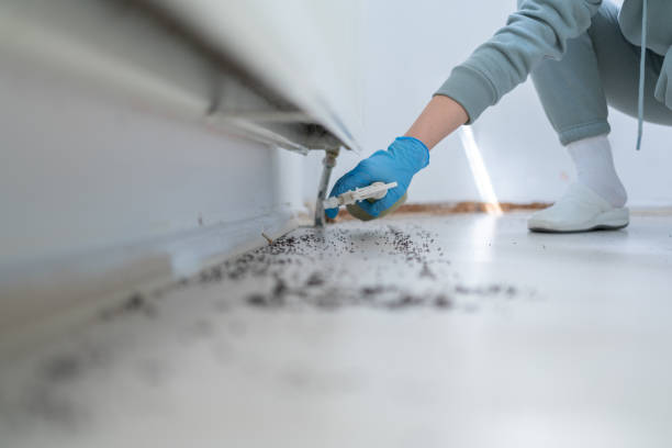 Best Affordable Pest Control Services  in Pleasant Hills, OH