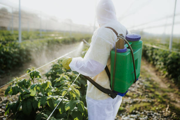 Best Exterminator Services  in Pleasant Hills, OH